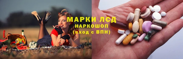 стафф Баксан