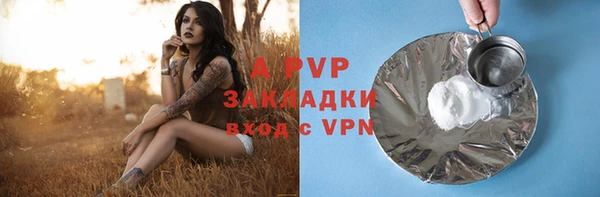 стафф Баксан