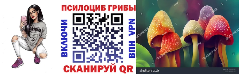 купить наркотики цена  Усть-Лабинск  Псилоцибиновые грибы Psilocybe 